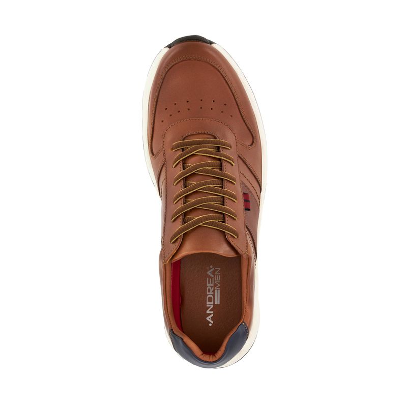 oxford-andrea-men-hombre-67453