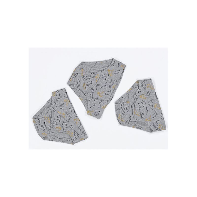 pack-ropa-interior-ferrato-boys-nino-84888