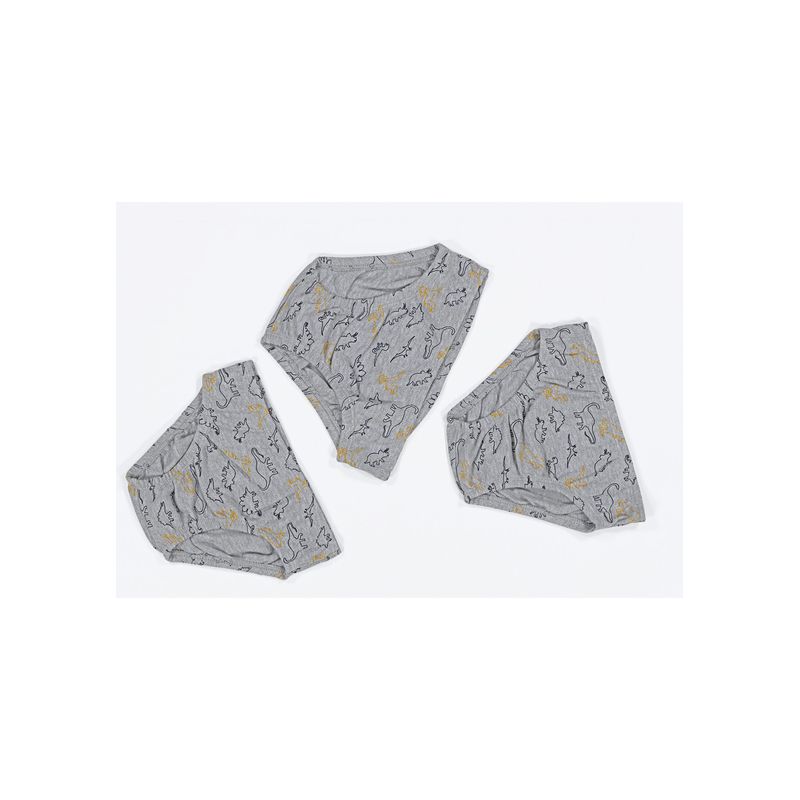 pack-ropa-interior-ferrato-boys-nino-84888
