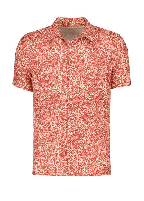 CAMISA ANDREA MEN PARA HOMBRE 43001