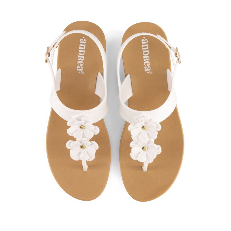 sandalia-andrea-mujer-69512