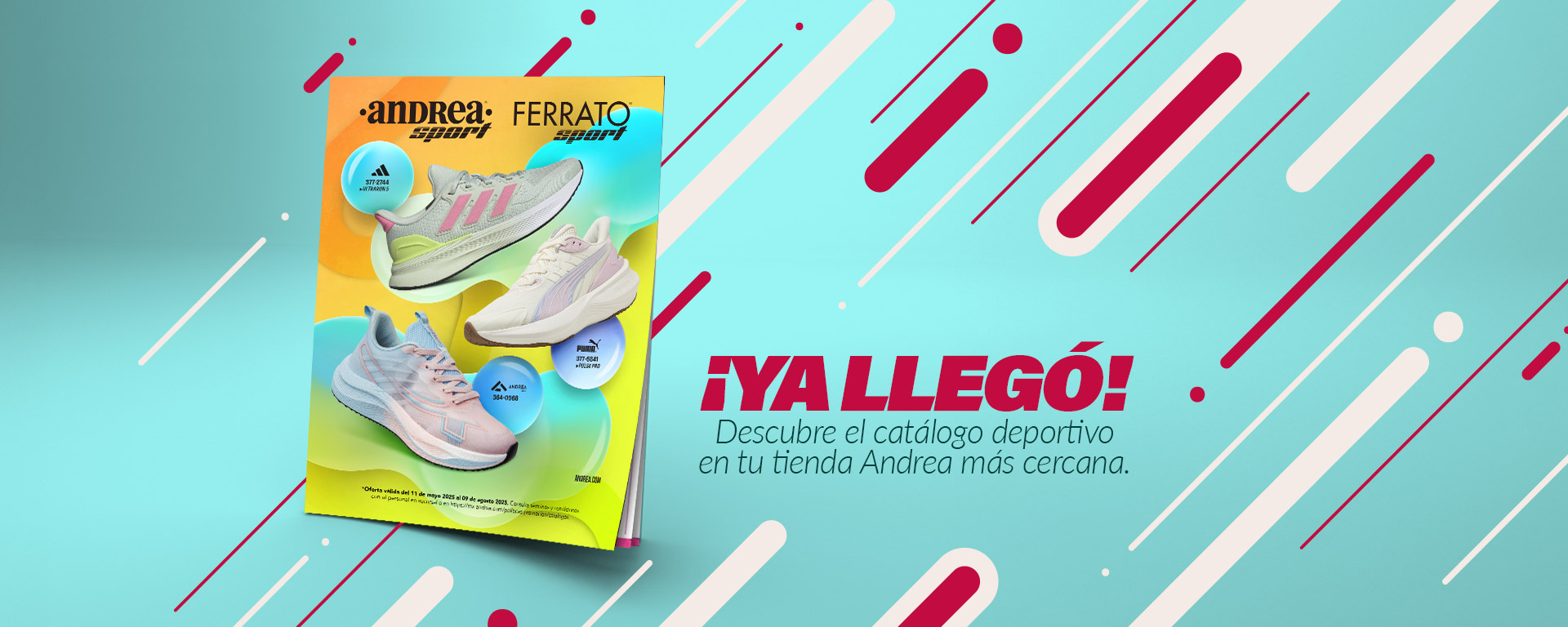 Descubre el Catálogo Deportivo | Andrea en Línea​